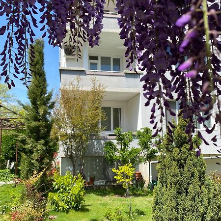 Family Hotel "May" Петріч Екстер'єр фото