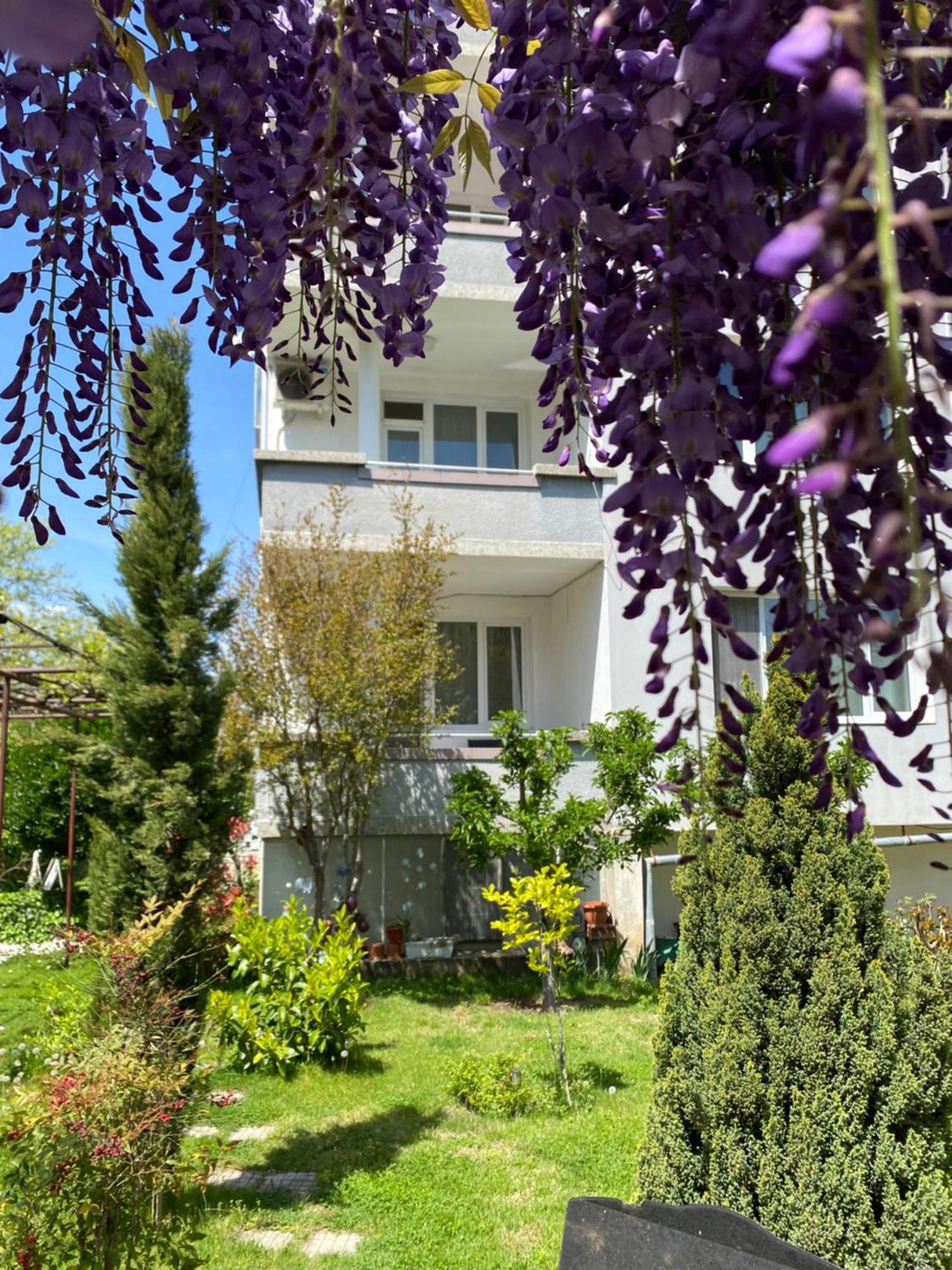Family Hotel "May" Петріч Екстер'єр фото